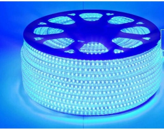 Ταινία LED 220V Μπλε Φως 100m