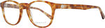 Gant Plastic Eyeglass Frame Brown Tortoise GA3235 053