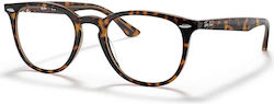 Ray Ban Κοκκάλινος Σκελετός Καφέ Ταρταρούγα RB7...