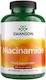 Swanson Niacinamide 500mg 250 Κάψουλες