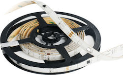 Elvhx LED Streifen Versorgung 24V RGB Länge 10m und 30 LED pro Meter SMD5050
