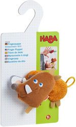 Haba Boar Boris