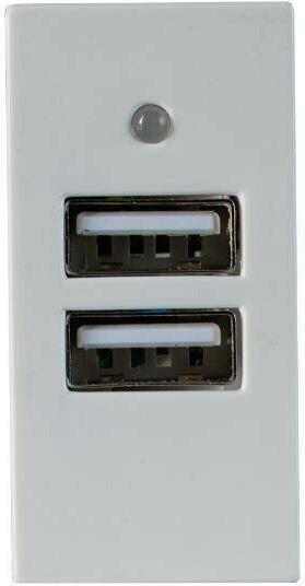 Eurolamp Walled Power Socket with 2 USB Ports White