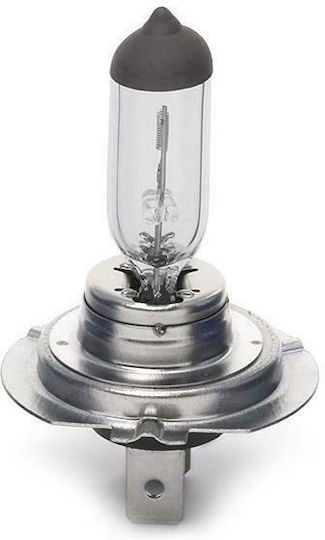 Osram Lamps Car Original 3200 H7 Halogen 3300K Warm White 12V 55W 1pcs /OA