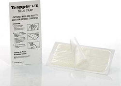 TRAPPER LTD