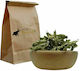 Dried Lemon Verbena Spices Bazaar 100g