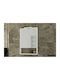 Drop Instinct 55 Rectangular Bathroom Mirror made of Particle Board with Shelf & Cabinet 48x70cm White