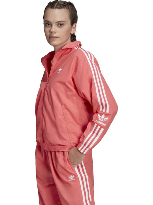 adidas Adicolor Classics Lock-Up Αθλητικό Μπουφάν Semi Turbo