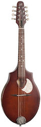 Seagull Ακουστικό Μαντολίνο S8 EQ με Πλακέ Σώμα Sunburst Seagull Ακουστικό Μαντολίνο S8 EQ με Πλακέ Σώμα Sunburst