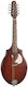 Seagull S8 EQ Acoustic Mandolin Sunburst
