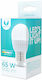 Forever Light Λάμπα LED 10W για Ντουί E27 και Σχήμα G45 Θερμό Λευκό 900lm