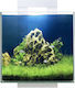 Ciano Nexus Pure 15 Fisch-Aquarium mit Kapazität von 14Es mit 25x25x30.2cm Weiß