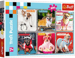 Kids Puzzle Happy Dogs for 7++ Years 200pcs Trefl