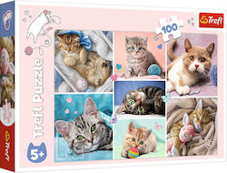 Kinderpuzzle In The Cats World für 5++ Jahre 100pcs Trefl