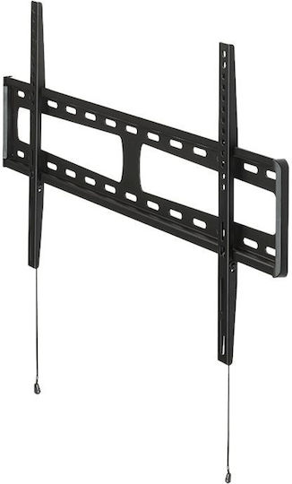 Hagor BL Fixed 800 Βάση Τηλεόρασης Τοίχου έως 65" και 60kg