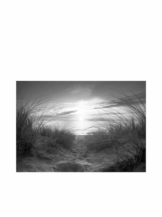 Fototapet de Perete 250x175cm Black White Tesatura Gri