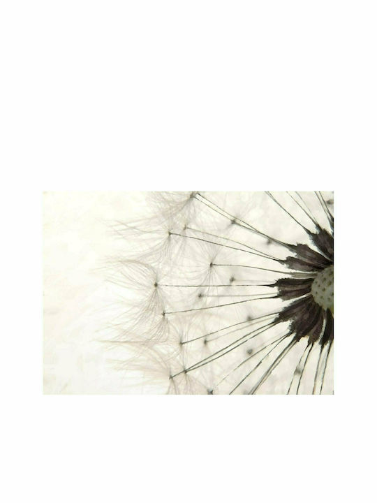 Fototapet de Perete 100x70cm White Dandelion Tesatura Albă