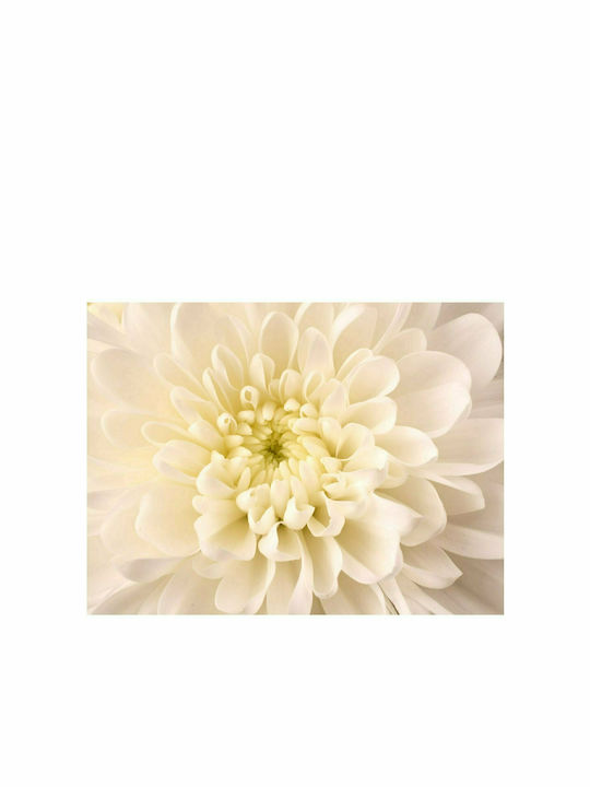 Fototapet de Perete 400x309cm White Dahlia Tesatura Albă