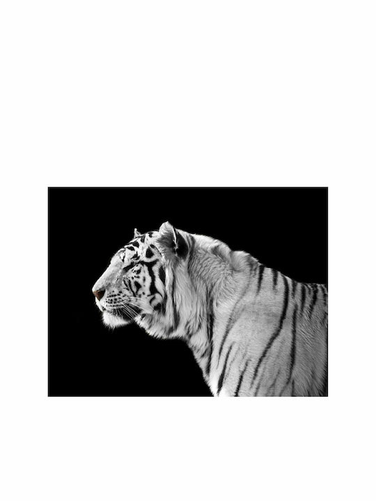 Fototapet de Perete 200x154cm White Tiger Tesatura Neagră