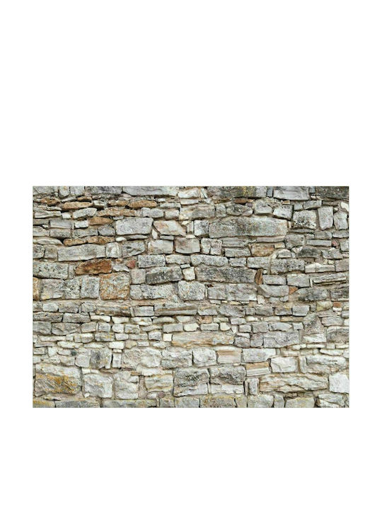 Autocolantă Fototapet de Perete 343x245cm Royal Wall Gri