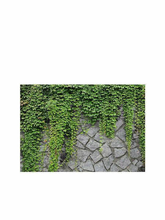 Wall Mural Green Wall Fabric Green 100x70cm