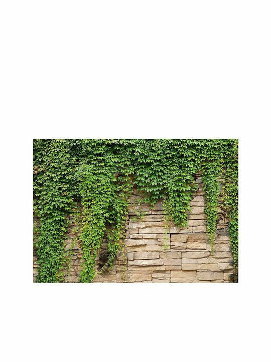 Fototapet de Perete 350x245cm Ivy Wall Tesatura