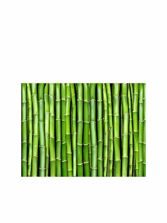 Fototapet de Perete 300x231cm Bamboo Wall Tesatura