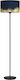 Eglo Casuarita Floor Lamp H151xW38cm. with Socket for Bulb E27 Black