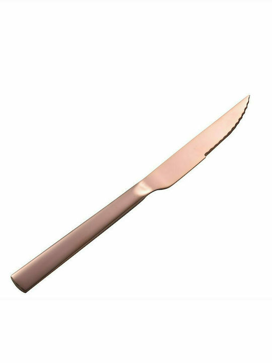 Dinox Porto Steak Knife from Stainless Steel 21...