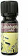 Elina Ulei Aromatic De Eucaliptus 10ml