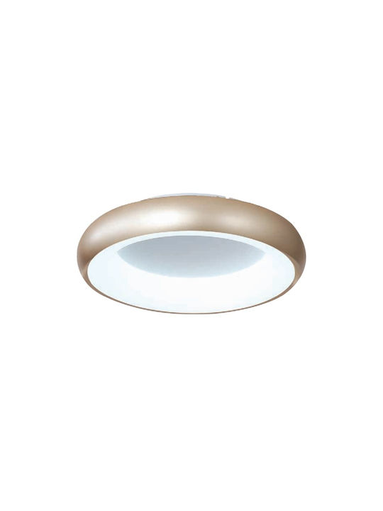 Inlight Modern Metal Ceiling Light with Integrated LED 40pcs Gold