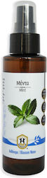 Herbstore Ανθόνερο Μέντα Herbstore Ανθόνερο Μέντα