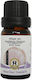 Herbstore Essential Blend Liquid for Moth 10ml