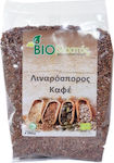 Βιοβλαστός Organic Linseed Brown 250gr