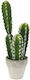 Iliadis Artificial Plant in Small Pot Cactus 35cm 1pcs