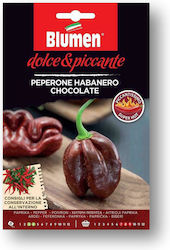 Blumen Πιπεράκι Καυτερό Habanero Chocolate Σπόροι Πιπεριάς