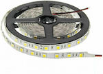 Vito Ταινία LED Τροφοδοσίας 12V με Θερμό Λευκό Φως Μήκους 5m και 60 LED ανά Μέτρο