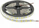 Vito LED Strip 12V Cold White Light 5m Type SMD5050