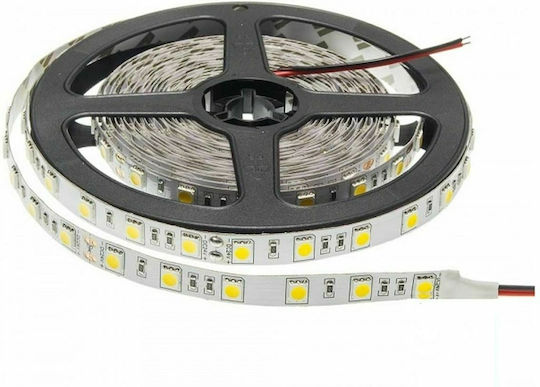 Vito LED Strip 12V Green Light 5m Type SMD5050