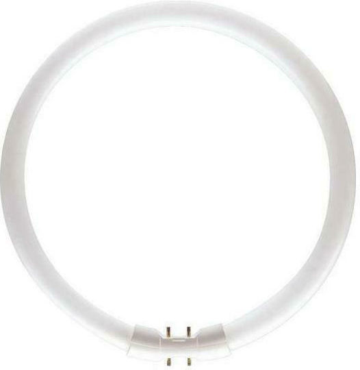 Philips Λάμπα Φθορίου 2GX13 60W