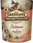 Carnilove Grain Free Wet Dog Food Pouch with Salmon 1 x 300gr A28-