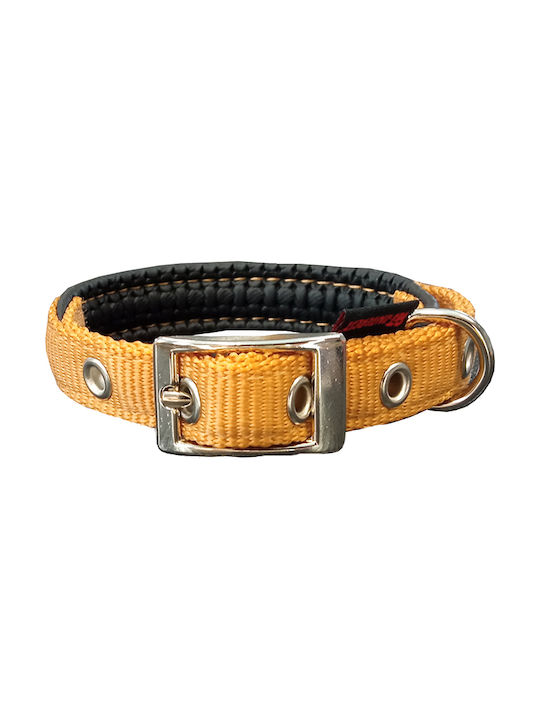 Pet Interest Neoprene Standard Guler pentru câini în culoarea Auriu 3XLarge 25mm x 65cm
