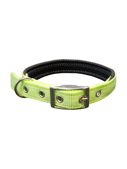 Pet Interest Neoprene Standard Dog Collar Fluo ...