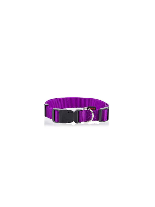 Pet Interest Plain Line Dog Collar In Purple Colour Small 15mm x 22 - 40cm