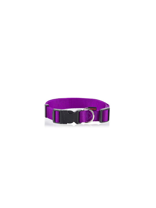 Pet Interest Plain Line Κολάρο Small 15mm x 22 - 40cm