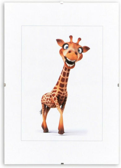 Donau Plastic Photo Frame 21x29 Donau Plastic Photo Frame 21x29