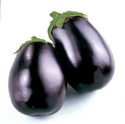 Rigakis Seeds Dalia F1 Seeds Aubergine 500gr