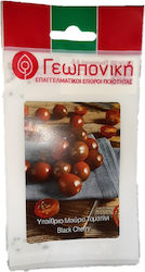 Geoponiki Τοματίνι Blach Cherry Seeds Tomatoς 20pcs