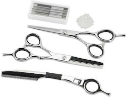 Original Best Buy Offset Hairdressers Scissors Set Hair-Cutting/Thinning 5.5" Original Best Buy Offset Hairdressers Scissors Set Hair-Cutting/Thinning 5.5"