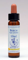 Healing Herbs Beech Flower Essence in Drops 10ml